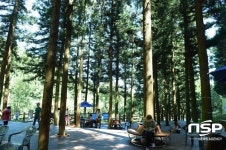  [가볼까]장성군 축령산 ‘편백숲’,  여름철 피서객에 손짓 