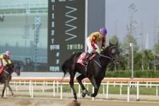  한국마사회, GⅠ급 경주 참가마 ‘Road to GⅠ챔피언십’ 통해 선발 