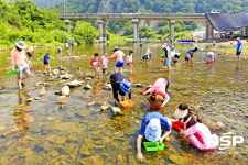 청송군,  ‘제10회 청송 다슬기 줍기 체험 행사’ 개최 