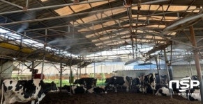  경산시, 축사 환경개선 통해 폭염 피해 선제적 대응 