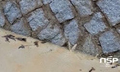  경산시 자인면 우량농지조성사업, 용도와 다른 시공 주장에 논란 