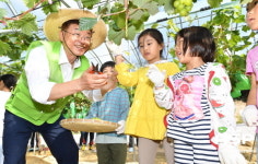 경북도청 어린이집, ‘꼬마농부와 함께하는 농작물 수확’ 체험