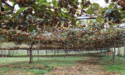 진도군, 소비자와 함께하는 팜파티 개최