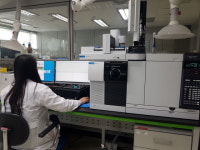 경기도, 친환경 농산물 안전성 검사 후 학교급식 납품