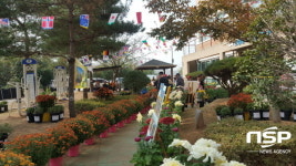 보성군 노인복지관, 노인사회활동지원사업 ‘국화꽃 전시회’ 개최