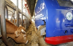 태안군, 무인로봇 도입해 가축사료 공급