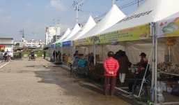 보령시, 김장철 맞이 농업인생산자 직거래장터 운영