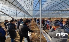 진안군, 체리 재배농가 대상 전정기술 현장교육