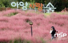 정읍시, 도심 내 공원 아양 사랑 숲 ‘인기 만점’