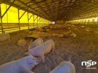 와이씨바이오이엔지, 현장서 축산분뇨 분해·처리 ‘미생물처리공법’ 특허출원