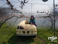 경주시농업기술센터, ‘과수화상병’ 예방 총력