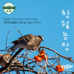 광양시, 강소농교육 온라인 실전교육 실시