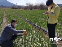 완주군, 저온피해 예방 현장기술지원단 운영