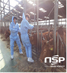 영암군, 구제역 청정지역 유지에 혼신