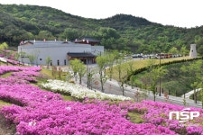 경주시, 경주화랑마을 운영 재개