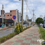 광양시, 중마동 오류5길 주요도로변 명품가로숲길 조성 완료