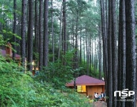 광양 백운산 자연휴양림, 5월의 추천관광지 숲캉스 선정