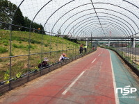 안동시, 시민들의 힐링 공간 낙동강변 박 터널 조성