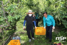 전남도의회, 매실 수확 구슬땀