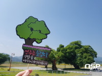 성주군, 감성 마케팅으로 성주관광 알리기 총력