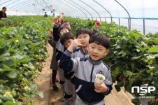 경북교육청, 유치원 가족사랑과 우리마을 체험학습 활동비 지원