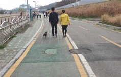 서울 양천구, 안양천 보행자도로 확장·재포장 완료