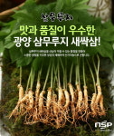 광양시, 농촌체험농장 2개소 ‘농촌관광 클린 사업장’ 으로 선정