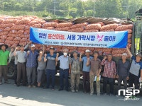 영천시, 홍산마늘 200t 서울 가락시장 첫 출하