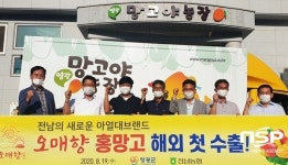 전남농협, 아열대 브랜드 ‘오매향’ 홍망고 해외 첫 수출
