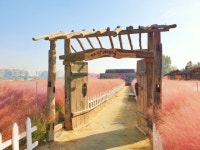 평택 ‘바람새마을 소풍정원’···한국관광공사 선정 언택트관광지 전국 7위 랭크