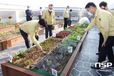 나주시, 농업기술센터 옥상에 ‘텃밭정원’ 개장