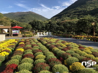 완도수목원, 가을산책주간 운영