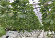 영양군, 2021년 ‘경영실습임대농장사업’ 6개소 선정