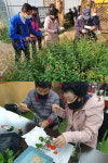 안성시농업기술센터-치매안심센터, 치유농장 연계 프로그램 협업 추진