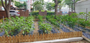 평택시, 도시농업 확대보급 ‘아파트 공동텃밭’ 사업 운영