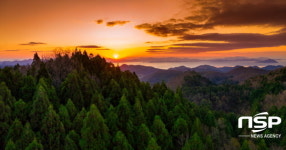 보성군, 활성산성 편백숲 2021 전남 명품숲 12선 선정