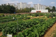 부천시, ‘도심 속 농업체험’ 도시텃밭 참가자 모집