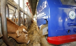 태안군, 지역 축산업 경쟁력 강화 추진