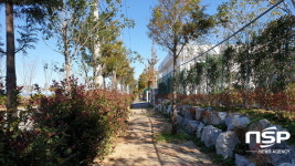 여수시, 산단 미세먼지 차단숲 조성···생활권 확산 차단