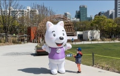 서울시 양천구, 광견병 예방접종 실시