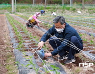 오도창 영양군수, 명품영양고추 농가 영농현장 방문 격려