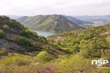 순천국유림관리소, 보성 오봉산 국가산림문화자산 지정 추진