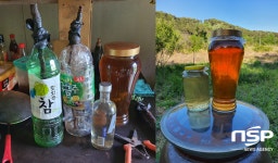 5월 크리스마스트리의 비밀, 형이 남긴 보이지 않는 ‘크리스마스 선물’