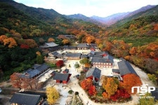 구례군, 화엄사 권역 100만 관광객 목표… 432억원 투입