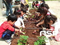 광양시, 도심 속 상자텃밭 조성 지원사업