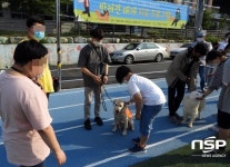포항명도학교, 산학협력 반려견 교감 프로그램  ‘EQ교육’ 운영