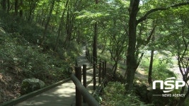 진안 운일암반일암 숲길, 여름철 비대면 안심관광지 선정