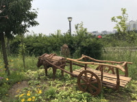 김포한강 야생조류생태공원, 몸과 마음 힐링장소 ‘눈길’