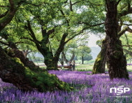 성주군, 자연에서 휴식·치유하는 생태 관광상품 운영