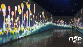 ‘쿨한 광양예술여행’, 태양과 장맛비를 피해 떠나자